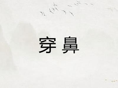 穿鼻