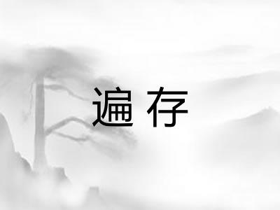 遍存