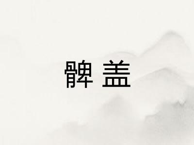 髀盖