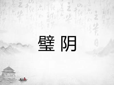 璧阴