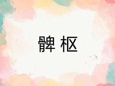 髀枢