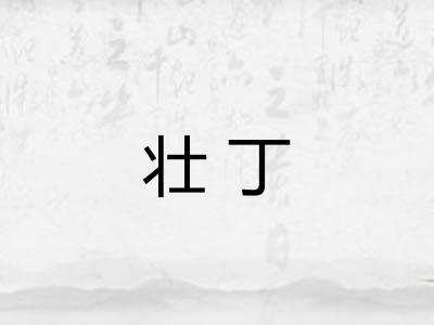 壮丁