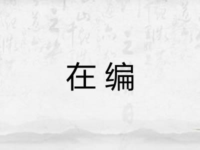 在编