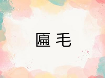匾毛