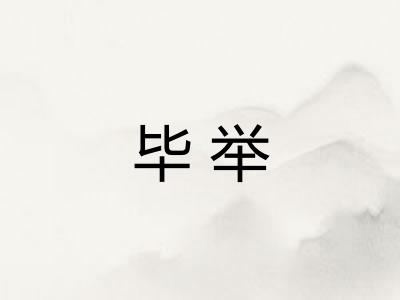 毕举