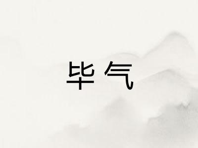 毕气