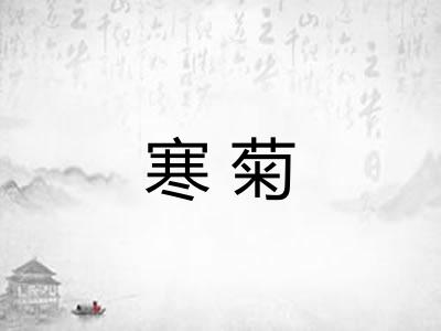 寒菊