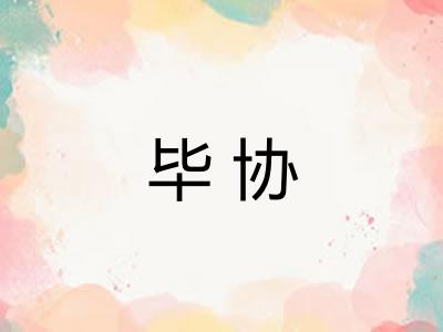 毕协