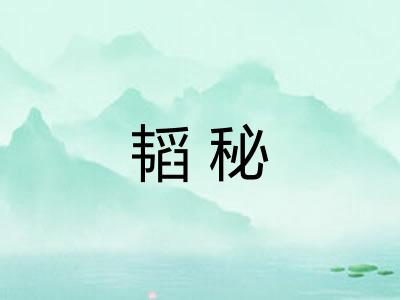 韬秘