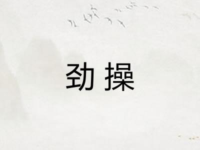 劲操