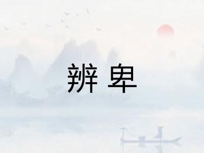 辨卑