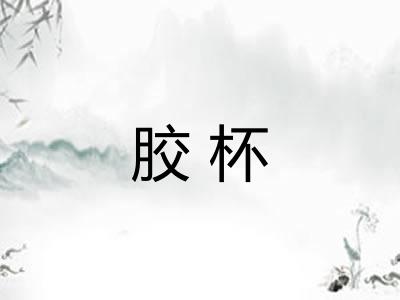 胶杯