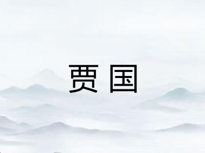贾国