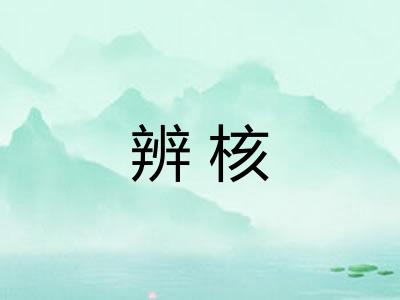 辨核