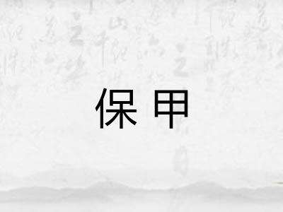 保甲 保甲