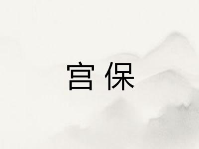 宫保