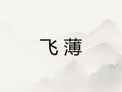 飞薄 飞薄