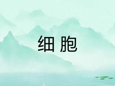 细胞