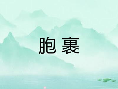 胞裹