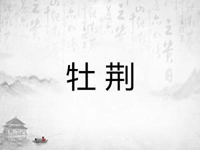 牡荆