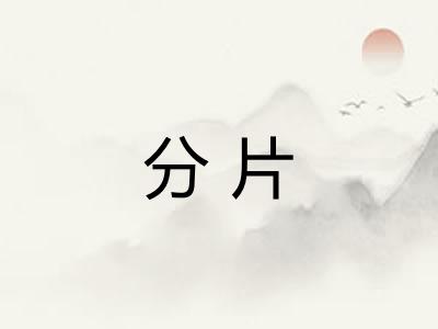 分片