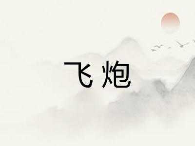 飞炮