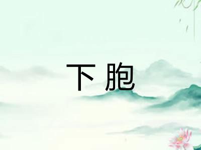 下胞