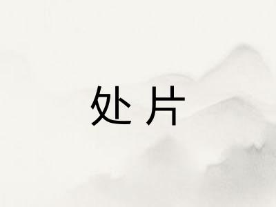 处片