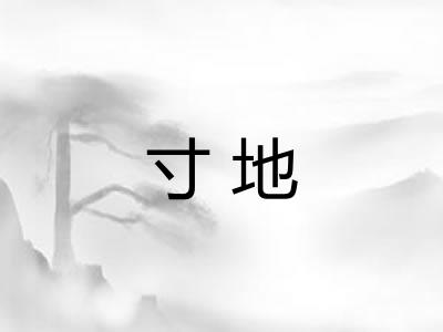 寸地