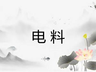 电料 电料