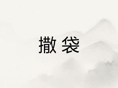 撒袋