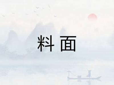 料面