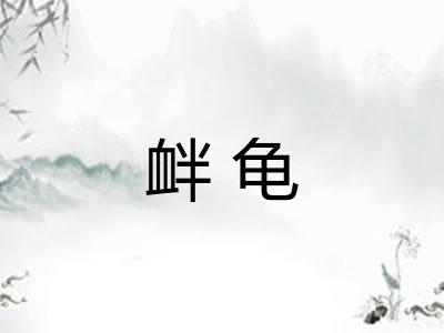 衅龟