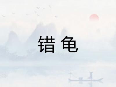 错龟