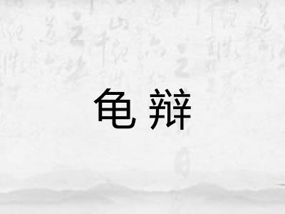 龟辩