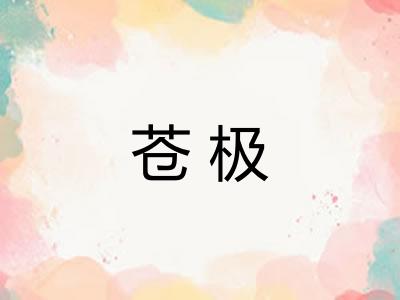 苍极