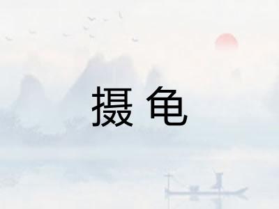 摄龟