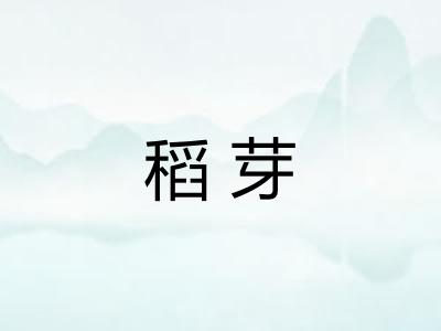 稻芽
