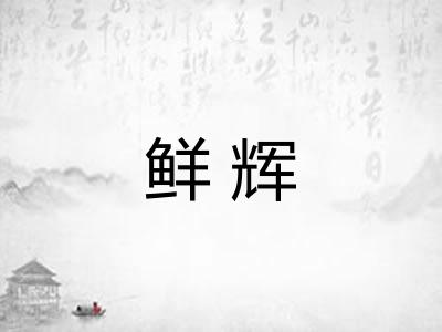 鲜辉
