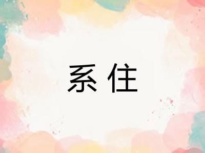 系住