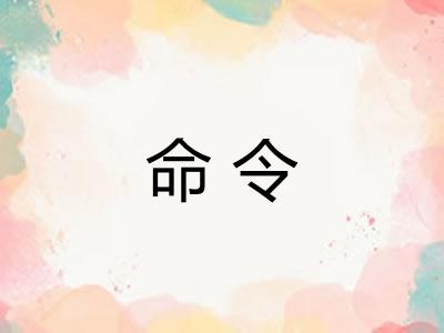 命令
