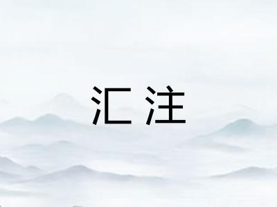 汇注