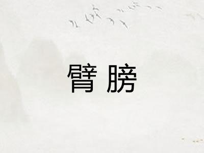 臂膀