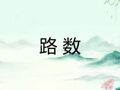 路数