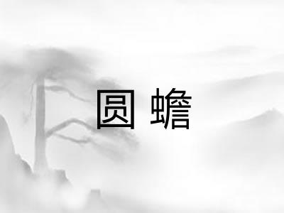 圆蟾