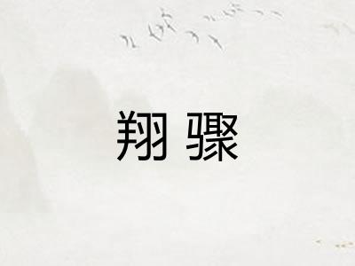 翔骤