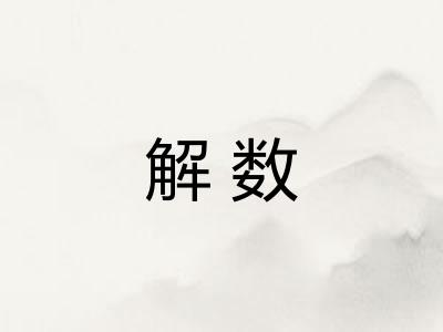 解数 解数
