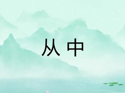 从中 从中