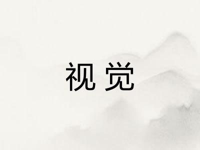 视觉