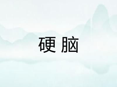 硬脑